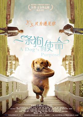 爱香蕉视频