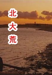 丁香婷婷在线观看