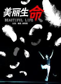 91视频88av