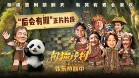 久久99久久精品国产只有